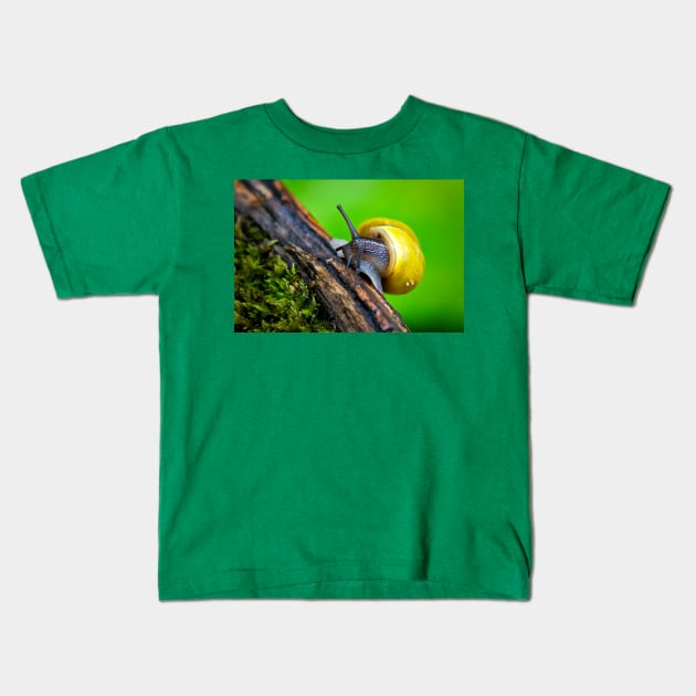 Out for a walk Kids T-Shirt by Violaman